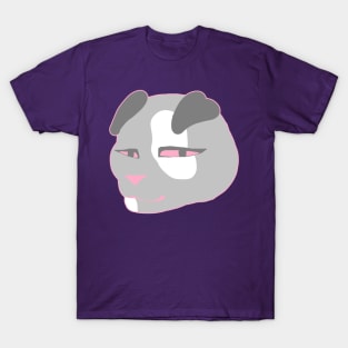 Demi girl pride cat T-Shirt